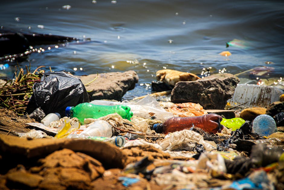 Close-up view of a shoreline where various types of plastic waste and debris are scattered among rocks and pebbles. The plastics include partly crushed bottles in green, brown, and clear, along with discarded plastic caps, fragments of plastic bags, and other miscellaneous debris. The rocks and pebbles are irregularly shaped, with rough textures and natural earthy tones of gray, brown, and tan, contrasting with the bright colors of the plastics. In the background, the water’s surface is visible with small ripples, reflecting sunlight and creating a shimmering effect. The scene highlights pollution and litter accumulation along the water's edge, illustrating an environment affected by careless waste disposal. Rubbish Removal Twickenham’s services may offer alternative disposal methods for such debris, emphasizing the importance of responsible waste management and cleanup efforts in riverside areas.